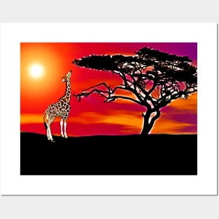 African Acacia Tree Posters and Art